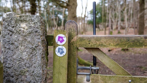 Waymarkers, with purple and blue arrows, on a gate at Arnside and Silverdale.